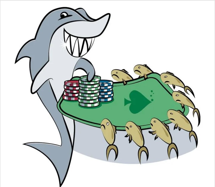 Fish trong Poker là gì? Hướng dẫn nhận biết Fish trong Poker